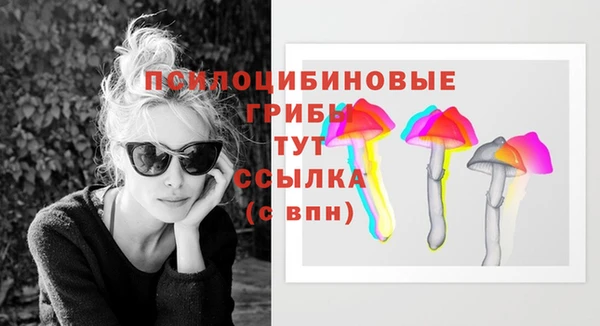 spice Куйбышев