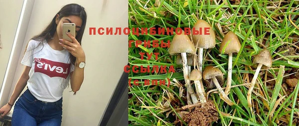 герыч Кукмор