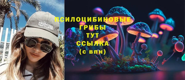 spice Куйбышев