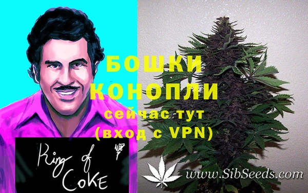 spice Куйбышев