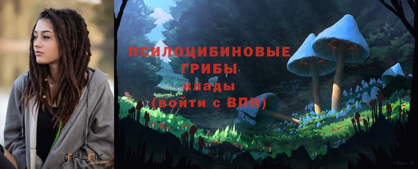 spice Куйбышев