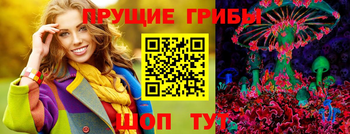 Галлюциногенные грибы Psilocybe  купить  цена  Туапсе  Вход с VPN 