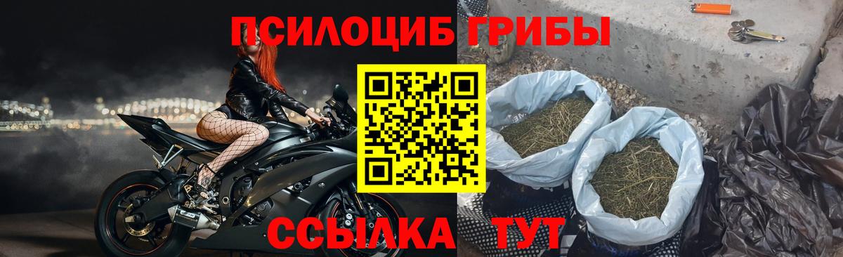 Псилоцибиновые грибы мицелий Туапсе